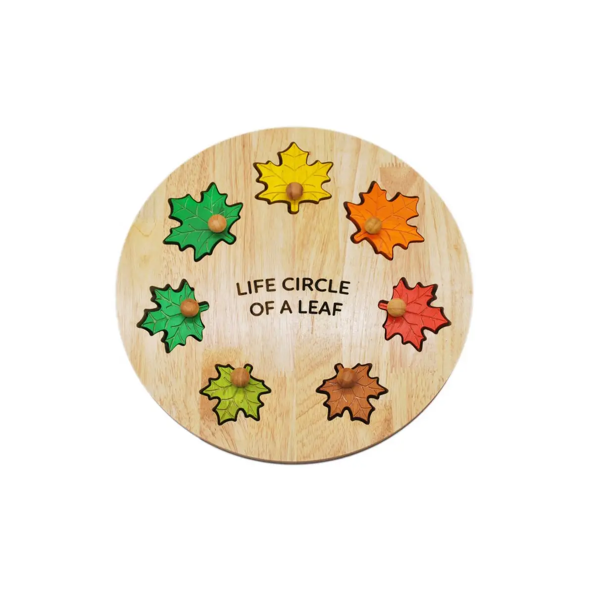 Leaf Circle Of Life puzzel – houten educatief speelgoed natuur